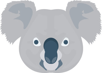 animal   elephant and zoo