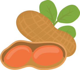 fruits peanut and nut