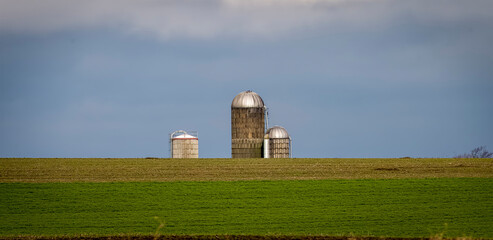 A View of A Farm Silo with Tall Corn Stalks in the Foreground on a Sunny Summer Day