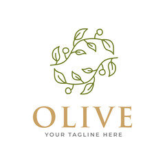 olive branch logo design. olive logo template vector design