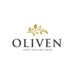 olive branch logo design. olive logo template vector design