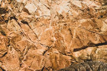 The texture of the rock, yellow, with various features.