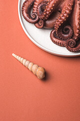 Natural fractals. Shell and octopus tentacles on red cadmium background, close-up © uliab