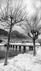 Trees along a beautiful alpin lake in a snowy winter morning
