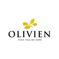 olive branch logo design. olive logo template vector design