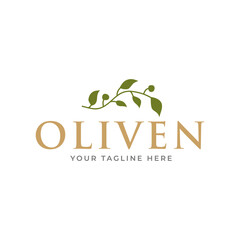 olive branch logo design. olive logo template vector design