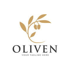olive branch logo design. olive logo template vector design