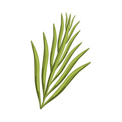 Green leaves of flowers. Set for postcard, poster, ad, decor, fabric and other uses. Vector isolated illustration.