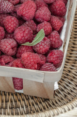 A solo container full of fresh dry raspberries and linden leaves.