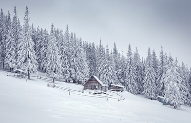 Amazing winter nature scenery. Beautiful winter mountain landscape with traditional mountain hut in the forest on highland. Wintry wonderland wallpaper. Winter vacations. chrismas holiday concept.