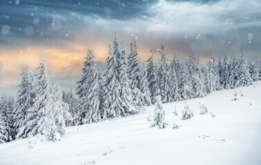 Stunning winter landscape with colorful sky during sunset. Wonderful Alpine Highlands in Sunny Day. Retro style. Instagram Filter. Picture of wild area. WAmazing Christmas Scene.  nature background