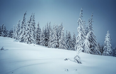 Fototapeta na wymiar Wonderfu winter landscape. Wonderful Alpine Highlands in Sunny Day. Retro style. Instagram Filter. Picture of wild area. WAmazing Christmas Scene. nature lbackground