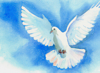 Watercolor painting of white peace dove on blue sky background. Generative AI.