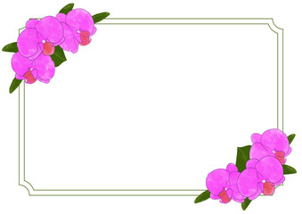 ピンクの胡蝶蘭のかわいい水彩イラストフレーム素材長方形