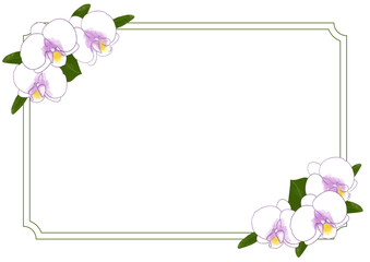 胡蝶蘭のかわいい水彩イラストフレーム素材長方形