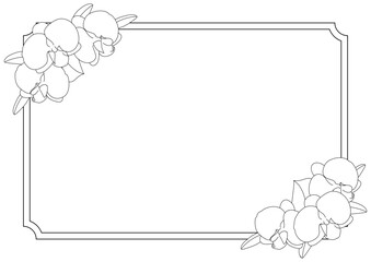 胡蝶蘭のかわいい白黒線画イラストフレーム素材長方形 - obrazy, fototapety, plakaty