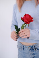 Beautiful and attractive woman dressed in baby blue holding a red rose in her hands. Self love concept. Happy. Copy space. Portrait mode