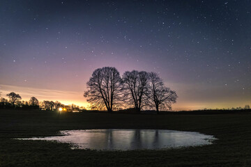 Obraz na płótnie Canvas starry sky over field and tree