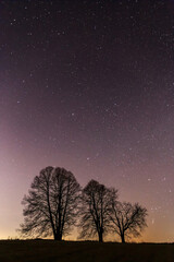 starry sky over field and tree