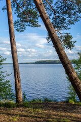 rocky shores of Karelian lakes, forest lake