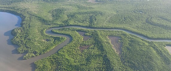 Forêt amazonienne Suriname