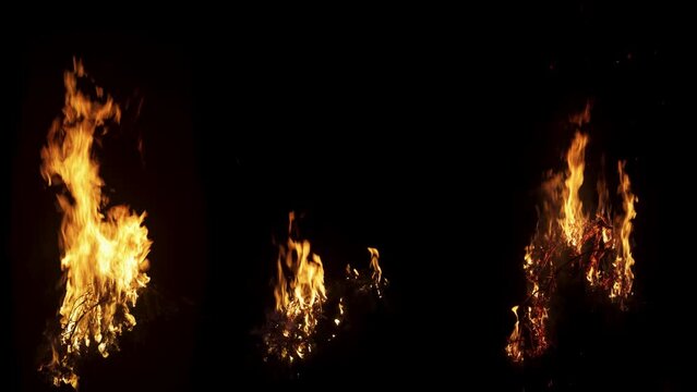 Slow Motion Shot Of Wooden Tree Branch Burning On Fire On Black Background. Flame Slowly Dying Out Towards The End. Isolated Mock Up For Use In Special Effects, VFX, Post Production Or Animation.