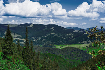 Fototapeta na wymiar Beautiful scenery of forested Carpathian mountains in summer, green fir trees in foreground, meadow valley in the centre; amazing nature landscape with expressive voluminous sky and clouds