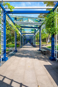 A corridor in a nice city park