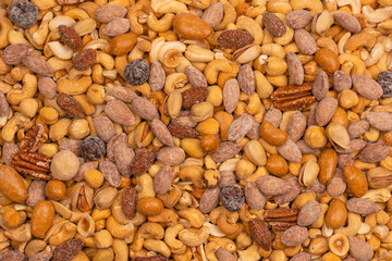 A group of almonds, pistachios, walnuts, macadamia, cashews.