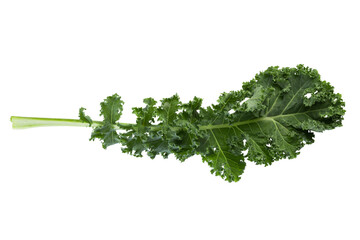 Fresh green leaves of Kale. Green vegetable leaves isolated on alpha background. - obrazy, fototapety, plakaty