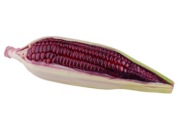fresh purple corn isolated on a alpha background