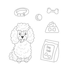 Line poodle sitting with  and toys and dog food on isolated background