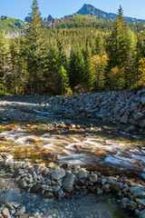 Mountain river with forest and rocky mountain peaks above - Koprova dolina valley in Tatra mountains in Slovakia © honza28683