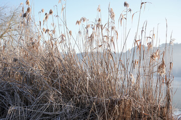 Fototapeta premium Canneto in riva al lago in inverno