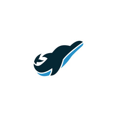Obraz premium dolphin logo template concept silhouette