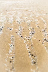 Deurstickers shell wrinkles in the sand © Evelien