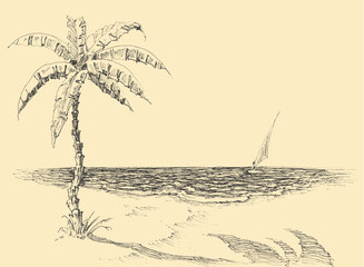 Palm tree on sea shore vector hand drawing