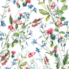 Floral seamless pattern with hand painted watercolor botany wildflowers on white background. Wallpapers and wrapping paper design with detailed colorful realistic plants