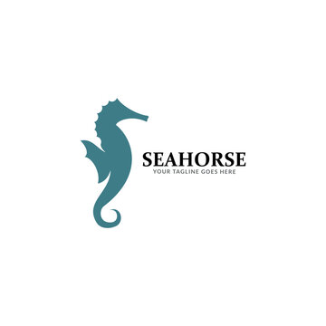 Stylized graphic Seahorse. Silhouette illustration of sea life. Sketch for tattoo on isolated white background. Vector flat logo icon.