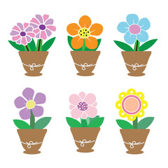 Lovely bright flowers in pots
