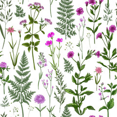 Pattern herbs and flowers painted color line. Vector drawing. Wild herbs. Wildflower