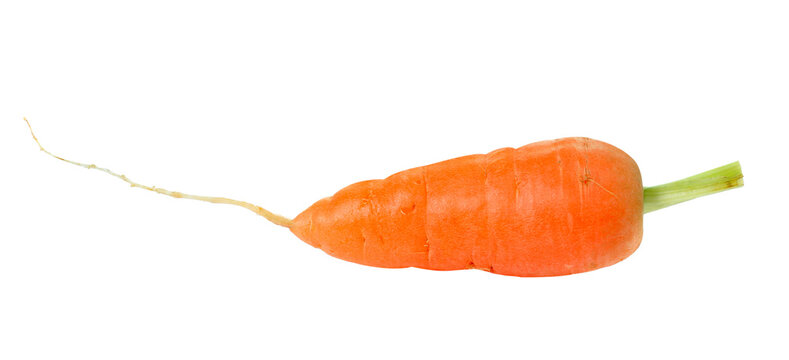 carrot isolated on transparent png © sommai