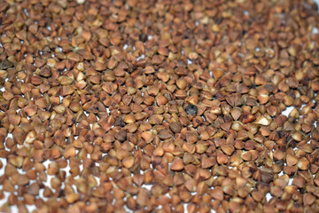 Buckwheat groats close-up. Background of dry fresh buckwheat, selective focus.