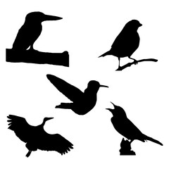 Silhouettes of birds, set, isolated on a white background
