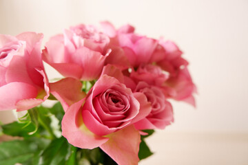 Beautiful pink rose background. Pink roses on white background. Flower background for Mother's day, Women's day, Wedding and Valentine's day.