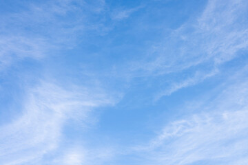 Obraz premium 青空