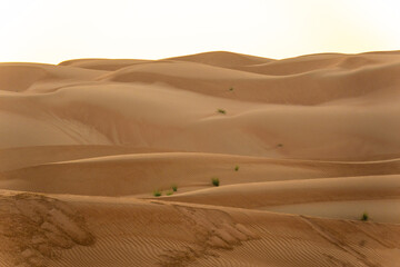 california sand duens