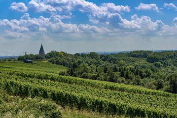 Fototapeta na wymiar Floersheimer Warte, viewpoint in the vineyards of Wicker