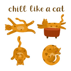 Set of Illustrations with fluffy sleepy cat and funny lettering Chill Like a Cat. Cute kitty character lying in different funny poses. Kawaii lazy kitten is perfect for print, stickers, t-shirts.