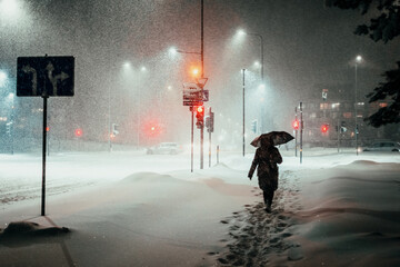 person walking in the snow